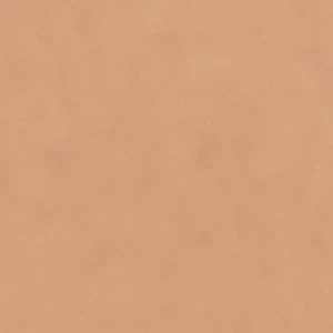 Veronna - Image 2