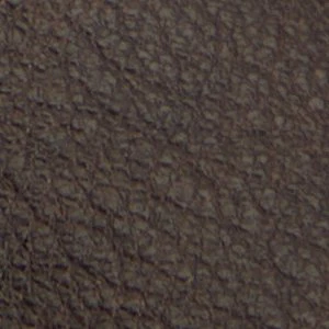 Waterson - Image 2