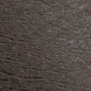 Willie - Image 2