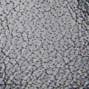 Xeniaa - Image 2