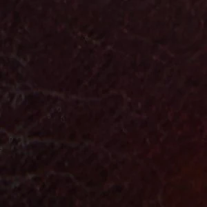 Zayra - Image 2